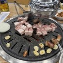 흑돈백돈