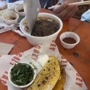 대구 교동 타코지 TACOZY 방문 후기 [내돈내산]