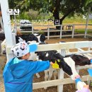 나영목장 이미지