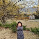 드라이119 세탁전문점 이미지