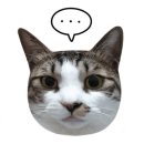 삼다숯불갈비 이미지