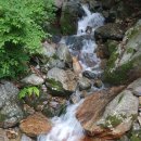 부산통일관 Daum카페