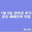 1월7일 장마감후기 장전시황적중