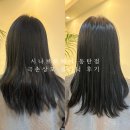 돈룩업동탄북광장 | [화성/동탄] 동탄 북광장 반송동 미용실 시나브로헤어 동탄점에서 극손상모 모발클리닉 후기