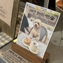 신흥동마을관리사회적협동조합 이미지