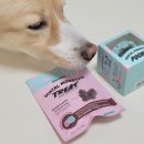 다다덴탈 이미지