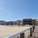 보쉬카서비스 동해삼척점 | 삼척쏠비치 픽업되는 동해 대게맛집 추천/추암횟집대게 내돈내산 후기 + 촛대바위 여행