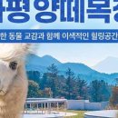 알파목장 네이버블로그