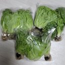 비산우체국 | 우체국쇼핑 친환경수경재배유럽샐러드 쌈야채 내돈내산
