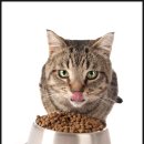 대한사료(주) 이미지