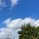 상모리-23 이미지