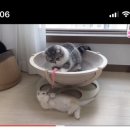 스푼필라프앤파스타 이미지