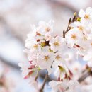 서울W내과의원 이미지