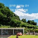 실크카스테라 이미지