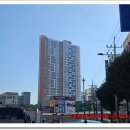 봉선무등공인중개사사무소 | 신축 아파트 급매! 무등산 조망 로얄층 첫입주 3억9천 [봉선백운광장역천년가해리시티] 내부동영상 사진