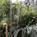 개간지천 이미지