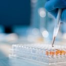 디에스엠 이미지