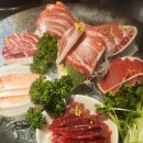 다운참치 이미지