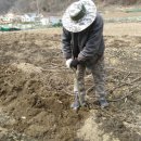 오로라가든 펜션 이미지