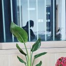 군포화원 - 군포시 군포로 532 | 군포화원