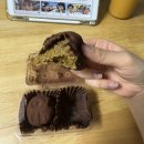 X-TOP 오락실 | 바람아 멈추어다오 (너무추우니까...)