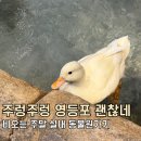 주렁주렁