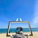 소리향 | 내돈내산 강원도 강릉 소리향 펜션 후기!