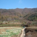 삼태산 농장 이미지