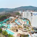 스플라스리솜