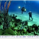 수지현진공인중개사사무소 이미지