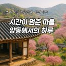 경주문화유산해설 | 경주 양동민속마을 여행코스 세계문화유산 한옥마을