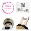 에스트니스화월