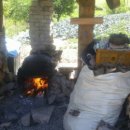 횡성토종닭 이미지