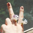 강아지왈츠 이미지