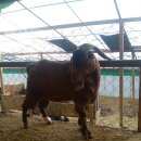 바다농장 이미지