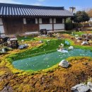 명월이네 이미지