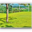 탑라운드 스크린골프 이미지