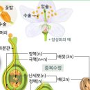 [CBT 문제 2016년도 1월 14일 종자기능사 필기 ] 복원문제 해설 및 중요 포인트☆ 이미지