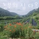 행복한 농부의집 다올 이미지