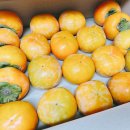 현수농장 이미지