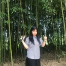 알천북로(남) | 경주여행 모에요?