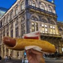 핫 독(HOT DOG) 이미지