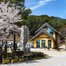 구수곡자연휴양림 야영장 경북도민일보