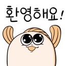 메디오늘