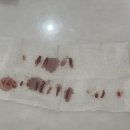 강남예치과동물병원 이미지