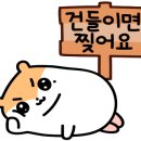 내동뒷고기