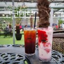 코코테로 이미지