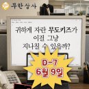 맘스터치 양원역점 | 맘스터치 무한상사 메뉴 출시! 추억과 맛을 모두 잡은 특별한 콜라보