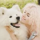 (단기)반려동물미용사(자격증) 이미지