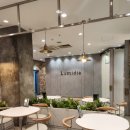 디아존 | [W#5] 내 인생 첫 드레스 선택! 오우드하우스 루미디아 촬영용 드레스 셀렉 | 유색 드레스 | 주말 예약...